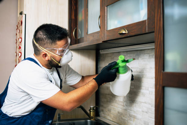 Best Emergency Pest Control  in Gladeview, FL
