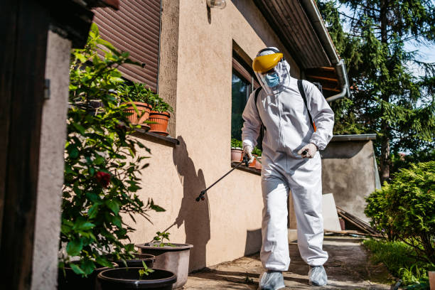 Bird Control in Gladeview, FL