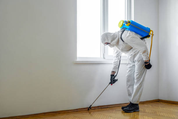 Professional Pest Control in Gladeview, FL
