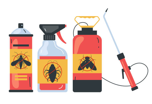 Best Bed Bug Extermination  in Gladeview, FL