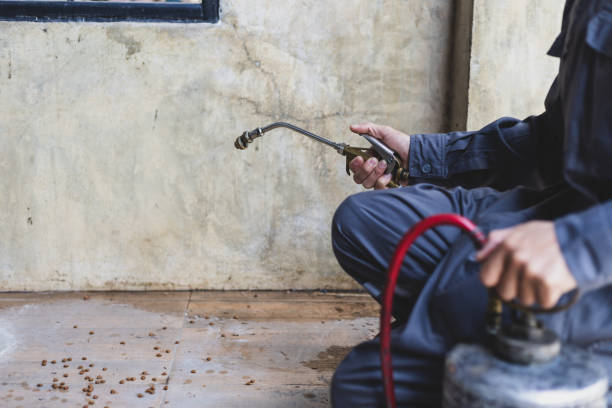 Best Affordable Pest Control Services  in Gladeview, FL